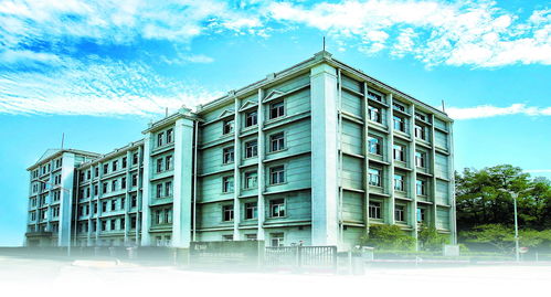 北京化工研究院 以科技創新為筆，在化工新材料沃土上繪就高質量發展新圖景